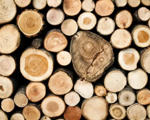 La crise du bois